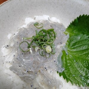 香りと食感が美味しい！生しらすとマグロの海鮮丼